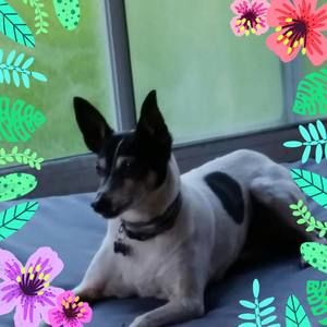 Meet your Posher, Donna